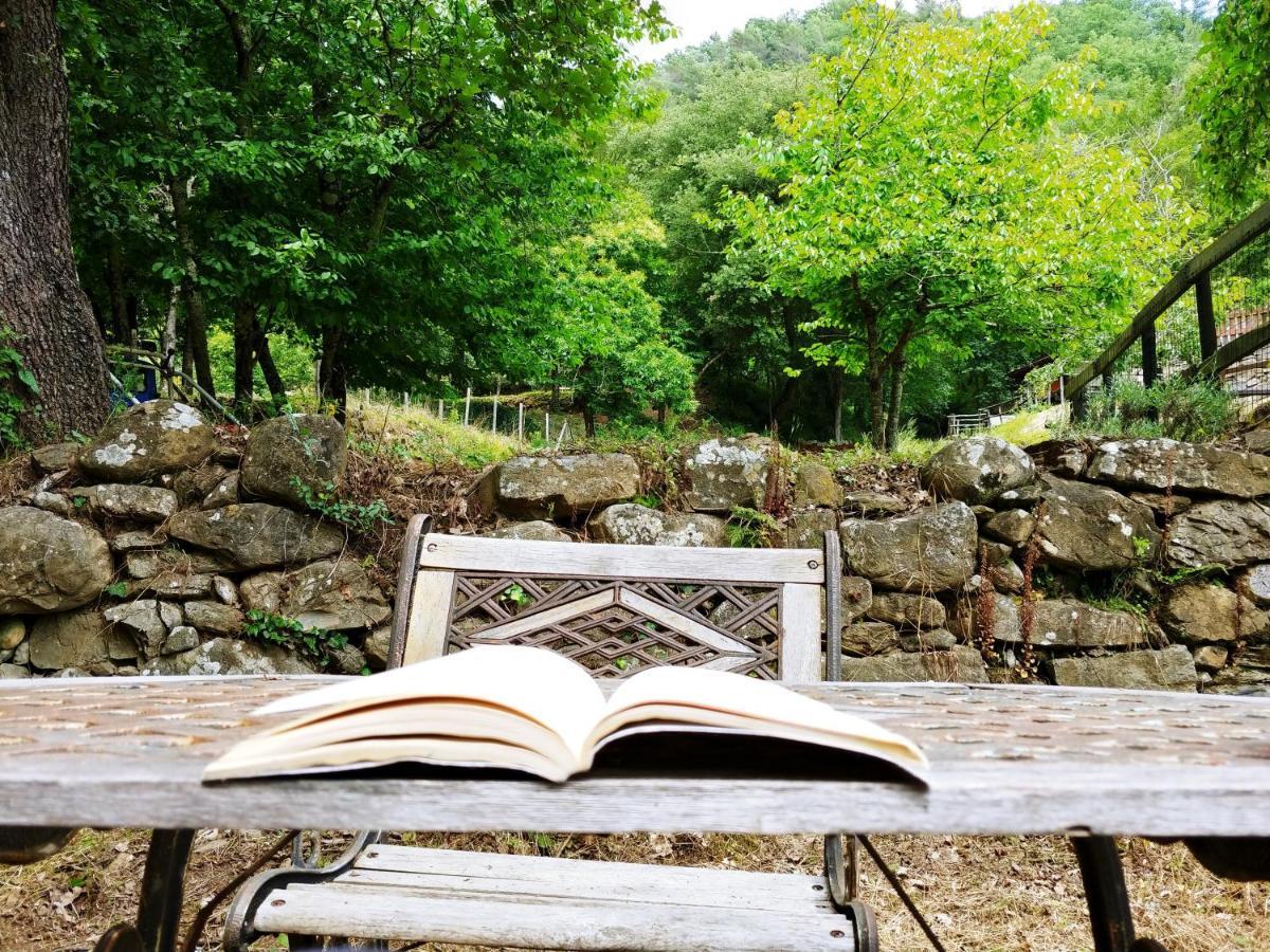 Hotel Agricamping Ponteraggio N.1 Dolceacqua Exteriér fotografie