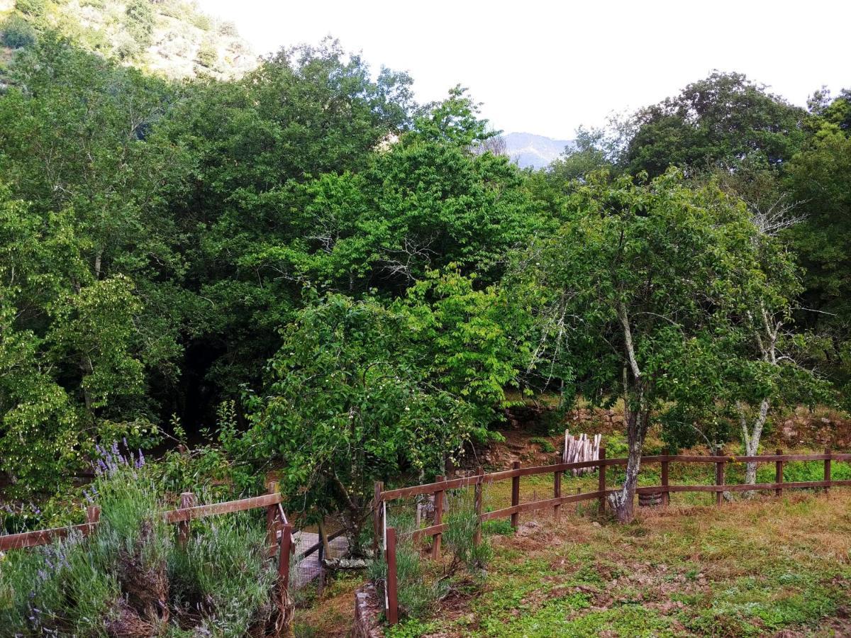 Hotel Agricamping Ponteraggio N.1 Dolceacqua Exteriér fotografie