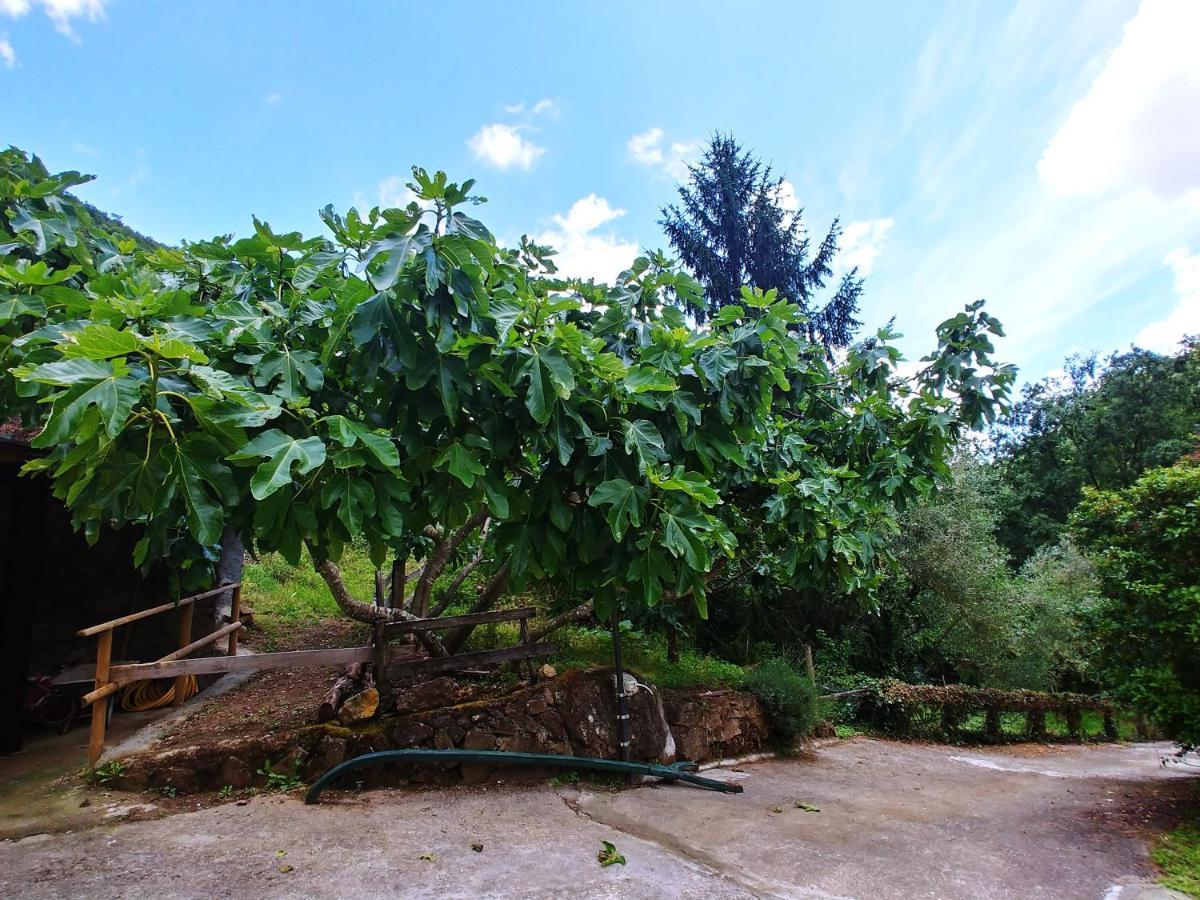 Hotel Agricamping Ponteraggio N.1 Dolceacqua Exteriér fotografie