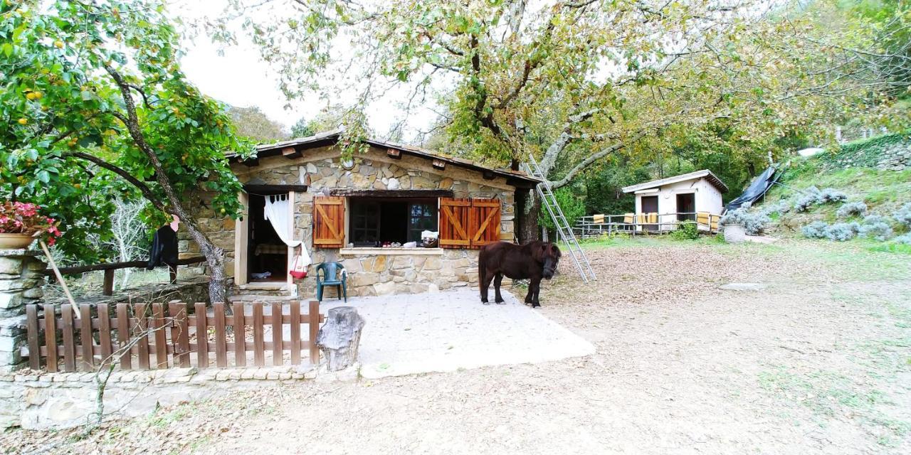 Hotel Agricamping Ponteraggio N.1 Dolceacqua Exteriér fotografie